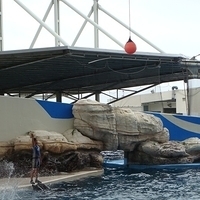 2007.06-197.JPG