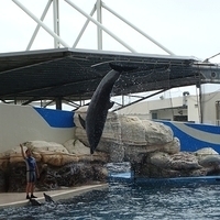 2007.06-203.JPG