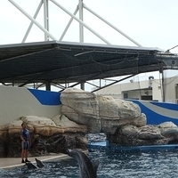 2007.06-204.JPG