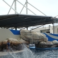2007.06-205.JPG