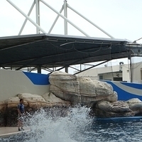 2007.06-206.JPG