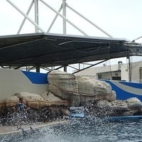 2007.06-207.JPG