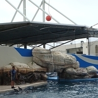 2007.06-208.JPG