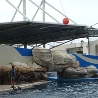 2007.06-209.JPG