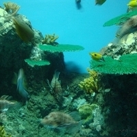 2007.06-222.JPG