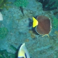2007.06-223.JPG