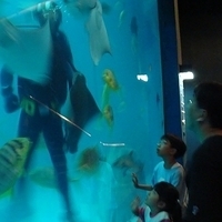 2007.06-229.JPG