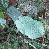 2007.11.30-054.JPG