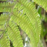 2007.11.30-061.JPG