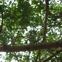 2007.11.30-063.JPG
