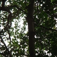 2007.11.30-064.jpg