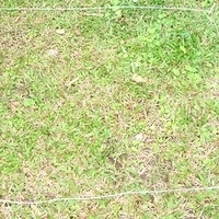 2007.11.30-067.JPG
