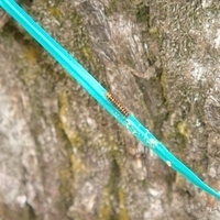 2007.11.30-071.JPG