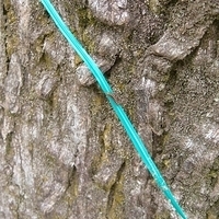 2007.11.30-072.JPG