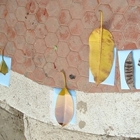 2007.11.30-074.JPG