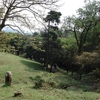 2007.03.15-002.jpg