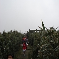 2007.03.15-019.jpg