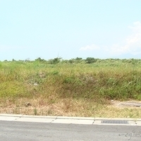 2007.08.01-002.JPG