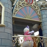 HK Disney-082.JPG