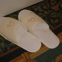 HK Disney-139.JPG