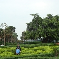 HK Disney-194.JPG