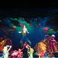 HK Disney-258.JPG