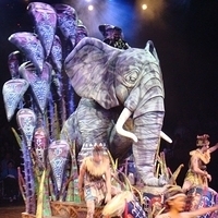 HK Disney-270.JPG