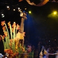 HK Disney-271.JPG