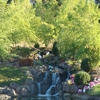 2008.07.04-018.JPG
