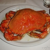 2008.06.14-017.JPG
