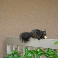 2008.06.14-065.JPG
