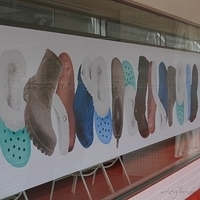 2008.12.23-Crocs-003.JPG