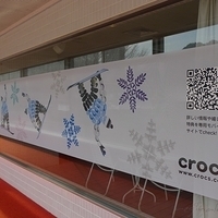 2008.12.23-Crocs-008.JPG