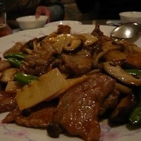 2008.12.25-Naeba by Roger-028.JPG