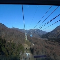 2008.12.25-005.JPG