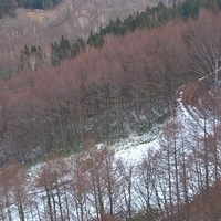 2008.12.25-097.JPG