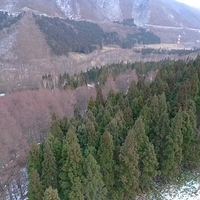 2008.12.25-098.JPG