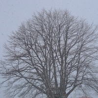 2008.12.26-001.JPG