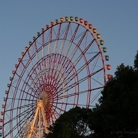 2008.12.27-Tokyo-025.JPG