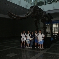 2008.06.03-037.JPG