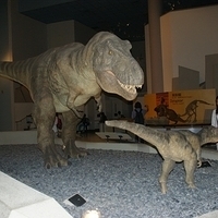 2008.06.03-048.JPG