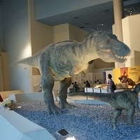 2008.06.03-049.JPG