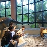 2008.06.03-051.JPG