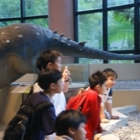 2008.06.03-052.JPG