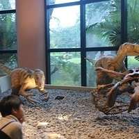 2008.06.03-055.JPG