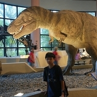 2008.06.03-057.JPG