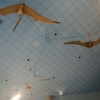 2008.06.03-059.JPG