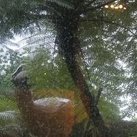 2008.06.03-060.JPG