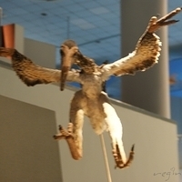 2008.06.03-061.JPG