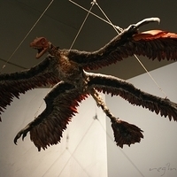 2008.06.03-062.JPG